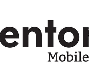 Photo of MentorMate