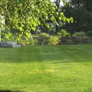 Photo of Earthly Lawn Care and Landscaping Service