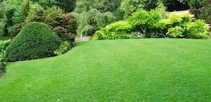 Photo of Earthly Lawn Care and Landscaping Service