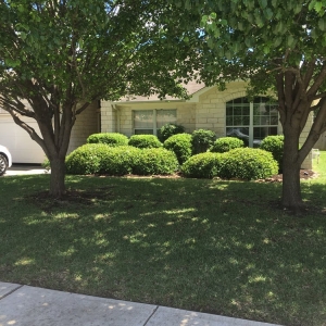 Photo of Earthly Lawn Care and Landscaping Service