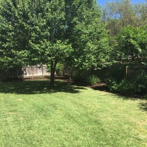 Photo of Earthly Lawn Care and Landscaping Service