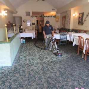 Photo of New Dawn Carpet Cleaning