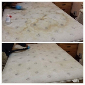 Photo of New Dawn Carpet Cleaning