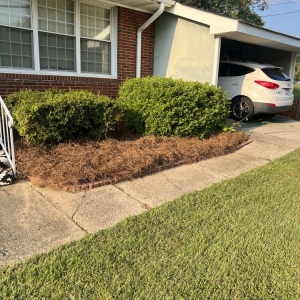 Photo of CMB Lawn Care & Landscape