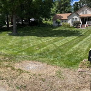 Photo of CMB Lawn Care & Landscape