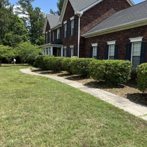 Photo of CMB Lawn Care & Landscape