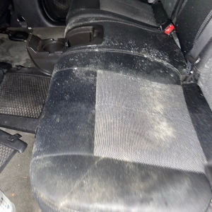 Photo of Auto Preservation