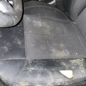 Photo of Auto Preservation