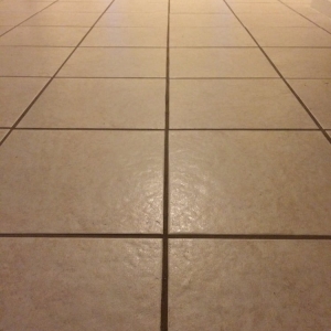 Photo of Like New Carpet Cleaning