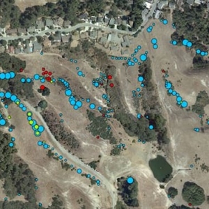 Photo of Ecological Concerns