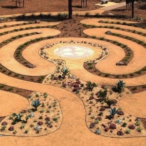Photo of Ecological Concerns