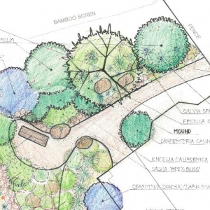 Photo of Ecological Concerns