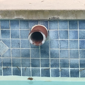 Photo of Pool Tile Cleaning Socal