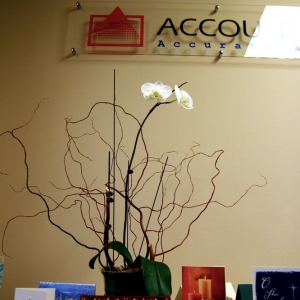 Photo of Dao CPA