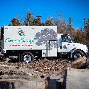 Photo of GreenScapes Lawn and Landscaping