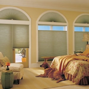 Photo of Window Decor