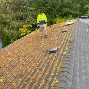 Photo of Yeti Gutter & Roof Cleaning