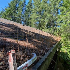 Photo of Yeti Gutter & Roof Cleaning