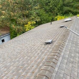 Photo of Yeti Gutter & Roof Cleaning