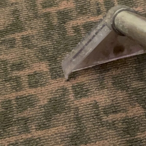 Photo of A Friendly Carpet Cleaning & Restoration