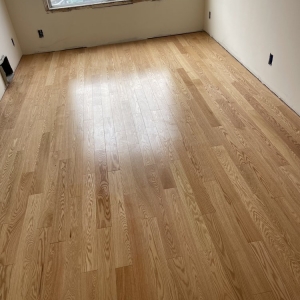 South San Francisco Concept Materials