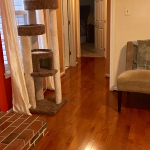 Photo of Gary's Hardwood Floor Service