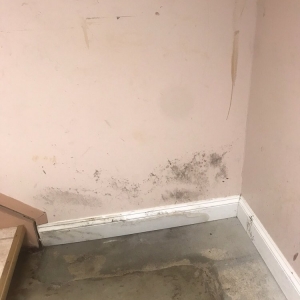 Photo of Guardian Waterproofing