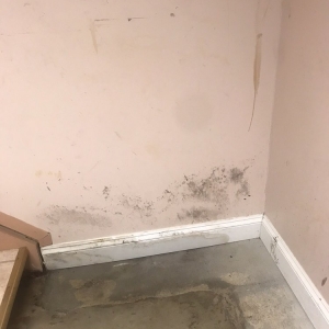 Photo of Guardian Waterproofing