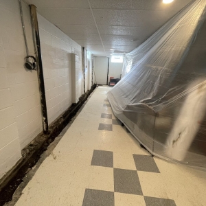 Photo of Guardian Waterproofing
