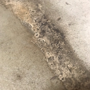 Photo of Guardian Waterproofing