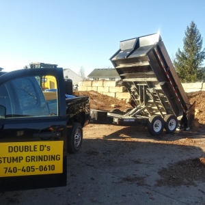 Photo of Double D's Stump Grinding & Removal