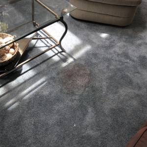 Photo of Resendez Bros Carpet & Tile Cleaning
