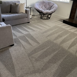 Photo of Resendez Bros Carpet & Tile Cleaning