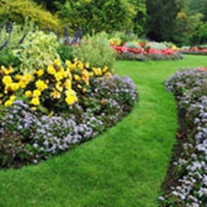 Photo of Oasis Landscapes
