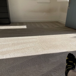 Photo of All Pro Carpet Solutions