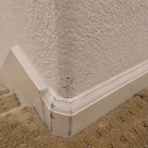 Photo of All Pro Carpet Solutions
