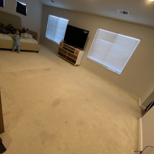 Photo of All Pro Carpet Solutions