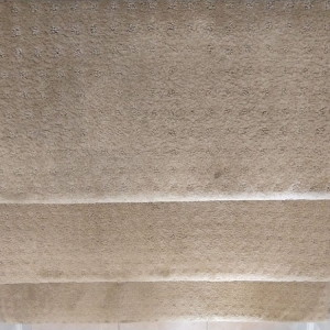 Photo of All Pro Carpet Solutions