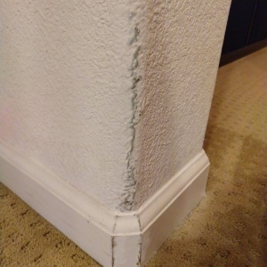 Photo of All Pro Carpet Solutions