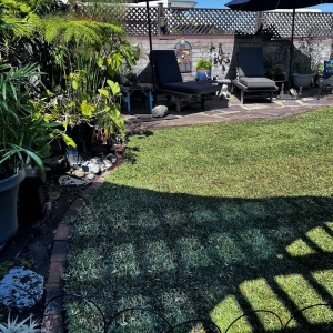 Photo of Sod Guys Southern California
