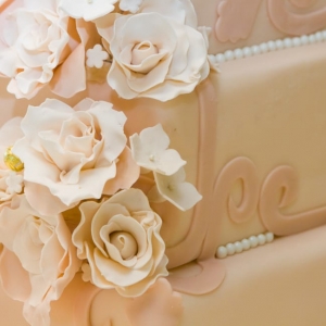 Photo of Sassafras Events