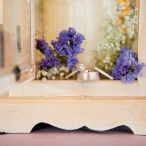 Photo of Sassafras Events