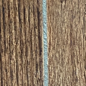 Photo of Floorcrafters Wood Interiors