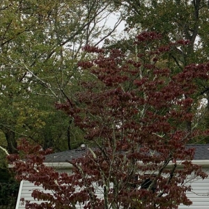 Photo of Caldwell Exteriors