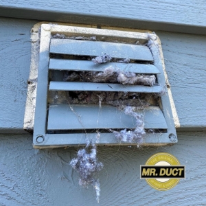 Photo of Mr Duct