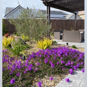 Photo of Santini's Landscaping