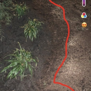 Photo of TLC Landscaping