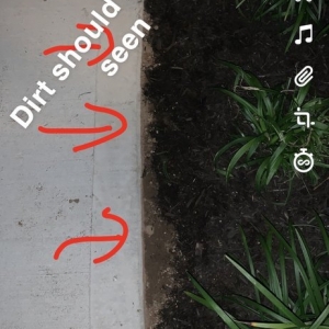 Photo of TLC Landscaping