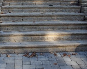 Photo of TLC Landscaping