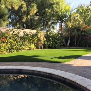 Austin Purchase Green Artificial Grass